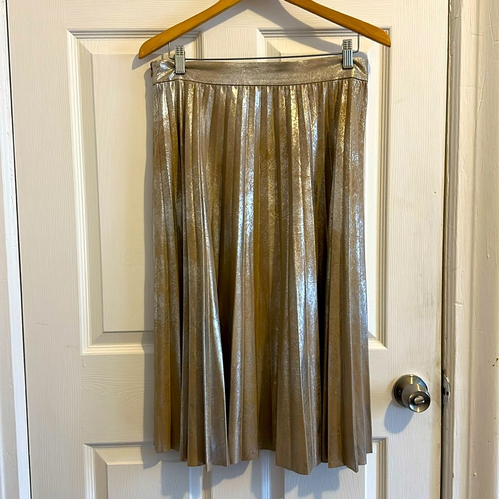EUC Pleated Metallic Skirt